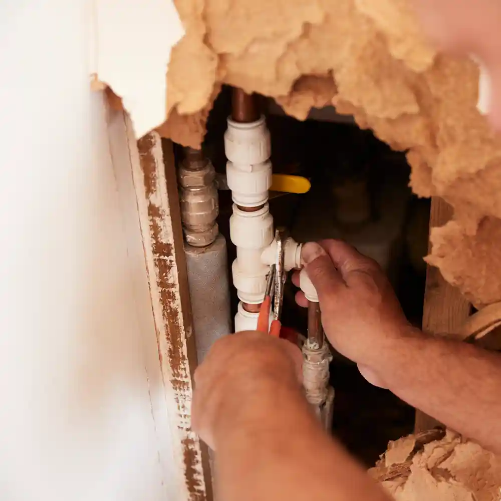 Water Remediation Water Remediation