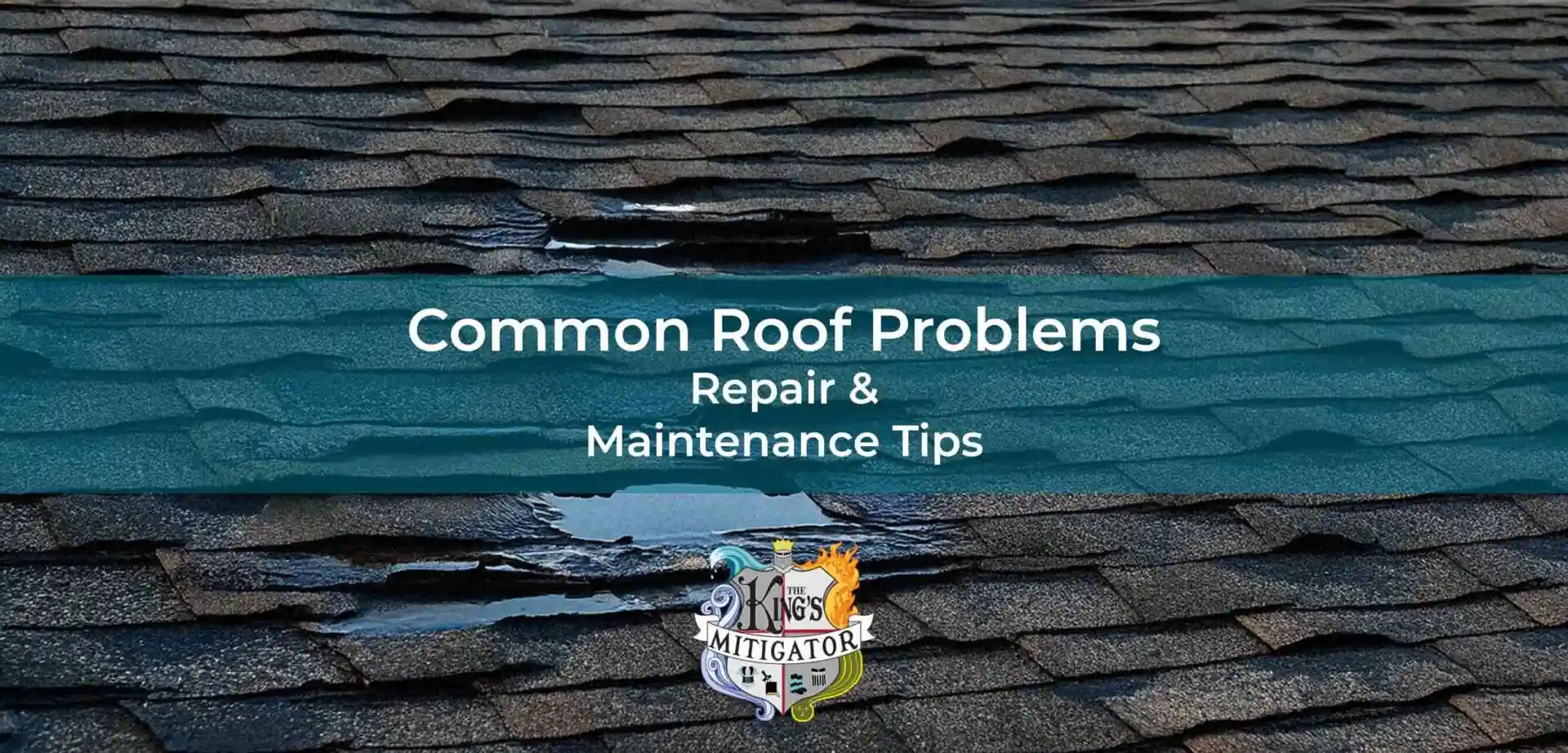 Essential Tips for Common Roof Problems in Lanesville IN